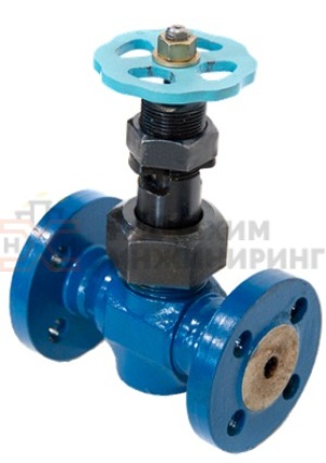 Задвижка кованая стальная клиновая с выдвижным шпинделем фланцевая ручная 30нж76нж Ду 25 Ру 63 кгс/см² УХЛ1, корпус ст. 12Х18Н10Т, класс герметичности «А» по ГОСТ 9544-2015