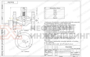 Клапан обратный подъемный фланцевый 16нж48нж Ду 25 Ру 16 кгс/см² УХЛ1, корпус ст. 12Х18Н10Т, класс герметичности «А» по ГОСТ 9544-2015