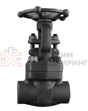 Задвижка кованая стальная клиновая с выдвижным шпинделем муфтовая ручная 30с41нж Ду 50 Ру 16 кгс/см² У1, корпус ст. 20, класс герметичности «А» по ГОСТ 9544-2015