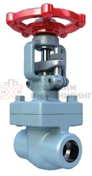 Задвижка кованая стальная клиновая с выдвижным шпинделем под приварку ручная 30нж76нж1 Ду 25 Ру 63 кгс/см² УХЛ1, корпус ст. 10Х17Н13М2Т, класс герметичности «А» по ГОСТ 9544-2015