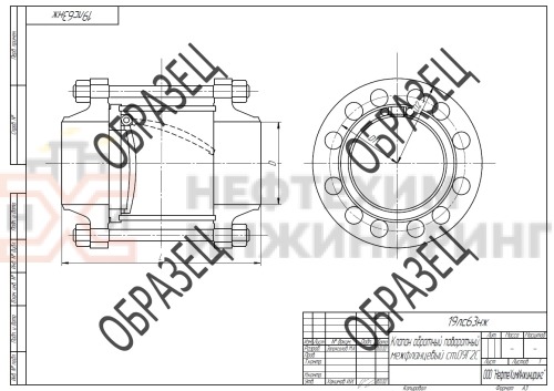 Клапан обратный поворотный межфланцевый (стяжное в сборе) 19лс63нж DN 250 PN 6,3 МПа ХЛ1, корпус ст. 09Г2С