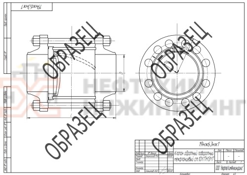 Клапан обратный поворотный межфланцевый (стяжное в сборе) 19нж63нж1 DN 50 PN 6,3 МПа УХЛ1, корпус ст. 10Х17Н13М2Т