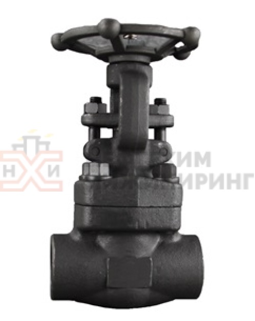 Задвижка кованая стальная клиновая с выдвижным шпинделем муфтовая ручная 30с41нж DN 25 PN 1,6 МПа У1, корпус ст. 20, класс герметичности «А» по ГОСТ 9544-2015