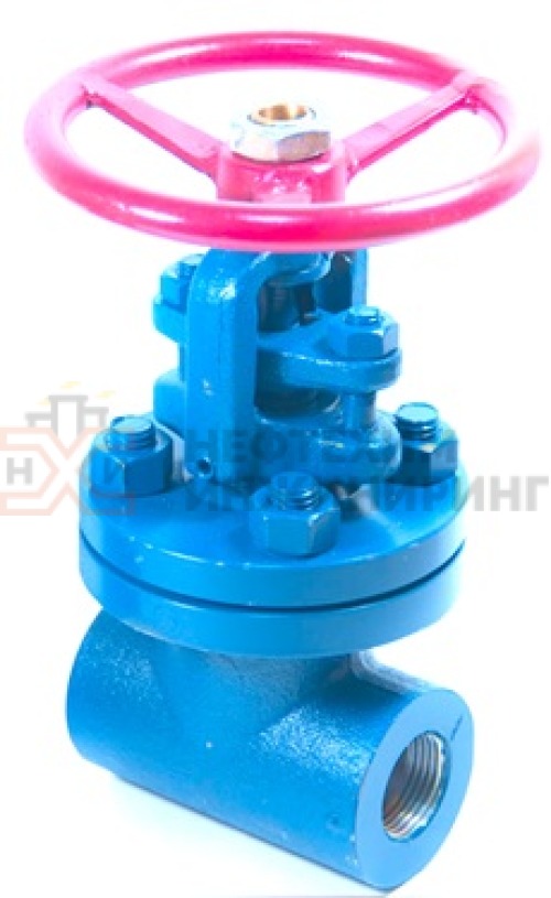 Задвижка кованая стальная клиновая с выдвижным шпинделем муфтовая ручная 30нж99нж1 DN 32 PN 2,5 МПа УХЛ1, корпус ст. 10Х17Н13М2Т, класс герметичности «А» по ГОСТ 9544-2015