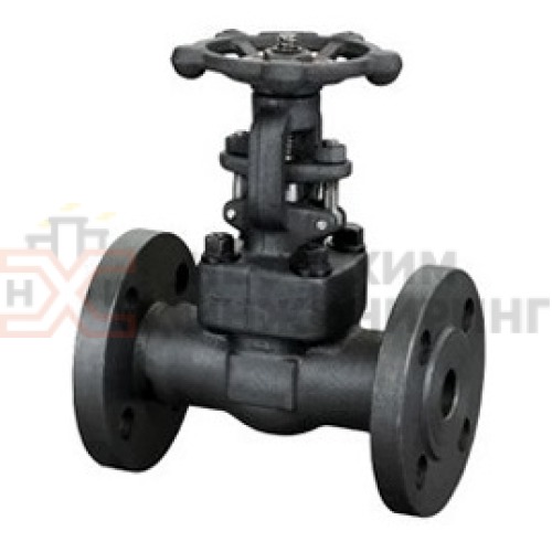 Задвижка кованая стальная клиновая с выдвижным шпинделем фланцевая ручная 30лс41нж DN 25 PN 1,6 МПа ХЛ1, корпус ст. 09Г2С, класс герметичности «А» по ГОСТ 9544-2015