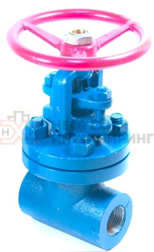 Задвижка кованая стальная клиновая с выдвижным шпинделем муфтовая ручная 30нж99нж DN 40 PN 2,5 МПа УХЛ1, корпус ст. 12Х18Н10Т, класс герметичности «А» по ГОСТ 9544-2015